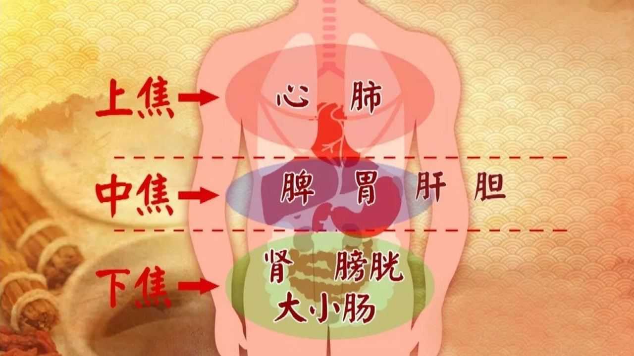 中医学上常说的“三焦”,究竟指的是什么?有哪些主要功能?_腾讯视频
