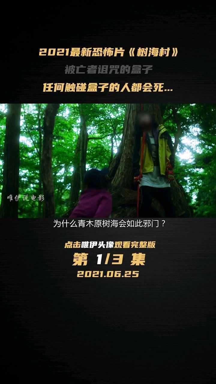 2021最新恐怖片《树海村》