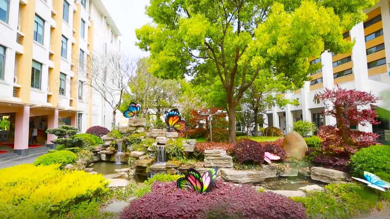 上海明强第二小学宣传片——《破茧成蝶 焕然新生》