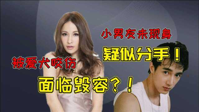 她被爱犬咬伤险毁容,与小男友蜜恋却直播抽噎,昔日天后怎么了?