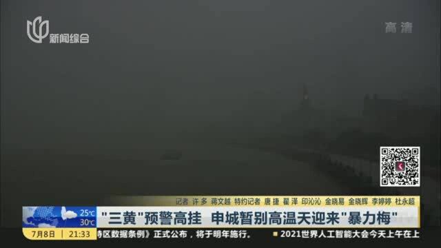 “三黄”预警高挂 申城暂别高温天迎来“暴力梅”