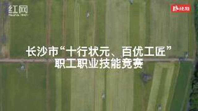 乡村工匠技能“大比武” 长沙农机操作高手云集