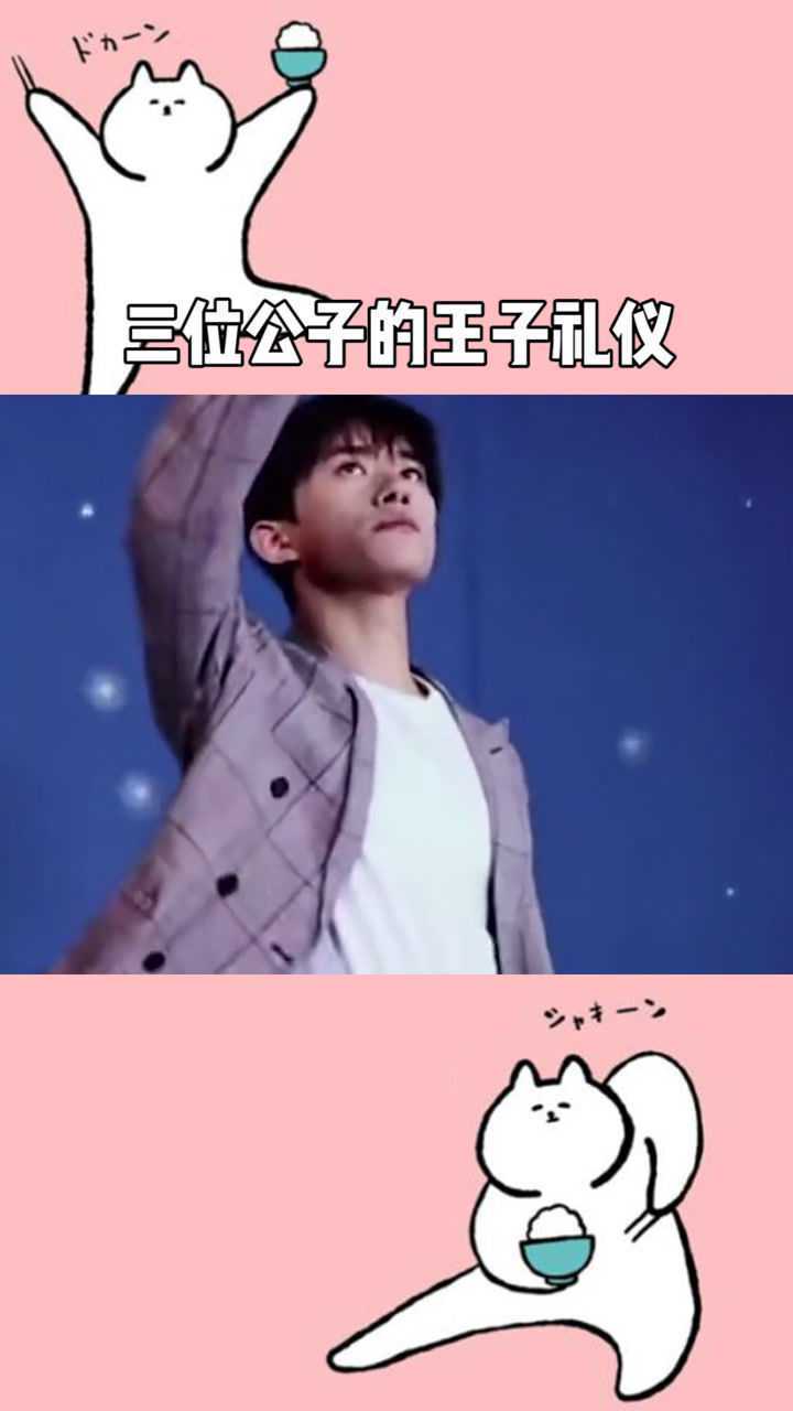 三位公子的王子礼仪