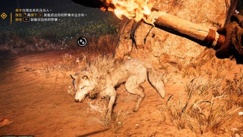 孤岛惊魂原始杀戮：困难版第4期 驯服了一匹狼还能帮助我攻击敌人 厉害了