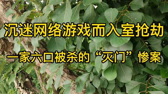 成年人沉迷网络游戏、从天台下降到22楼入室抢劫、一家六口被害