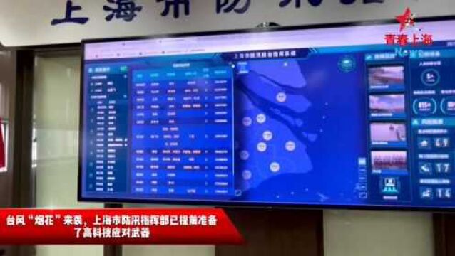 上海市实现“一网统管”、智慧防汛 高科技