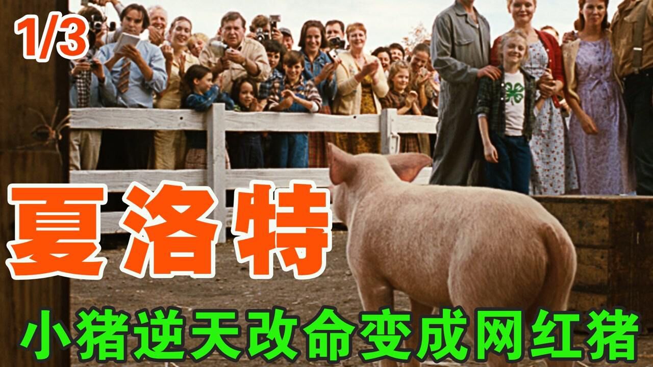 夏洛特的网精彩速看_小猪为改变烤乳猪的命运，努力变成了网红猪！人生必看《夏洛特的网》（一）#电影种草指南大赛#_高清1080P在线观看平台_腾讯视频