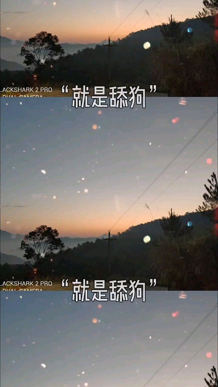 舔狗经典语录_腾讯视频