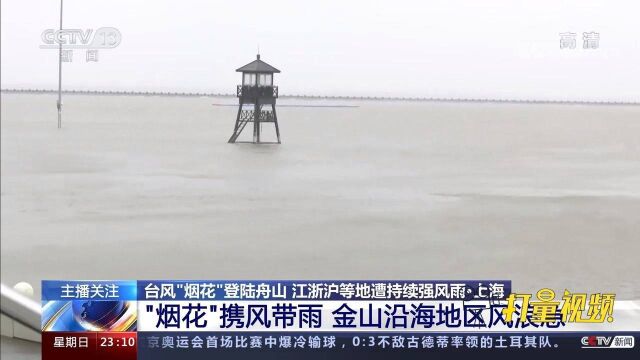 台风“烟花”携风带雨,上海金山沿海地区风大浪急