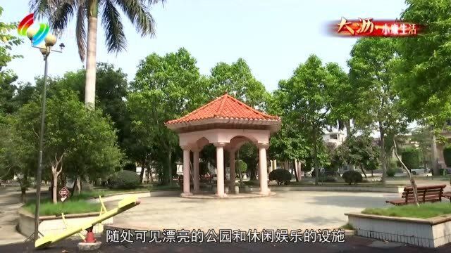 大沥小康生活产业改造环境提升社区居民乐享幸福生活