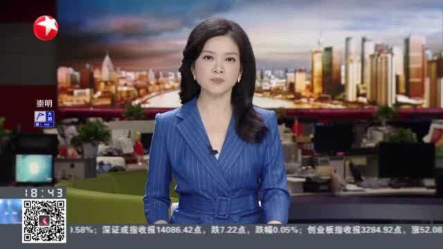 上海浦东:打造世界级产业集群 加快城市数字化转型