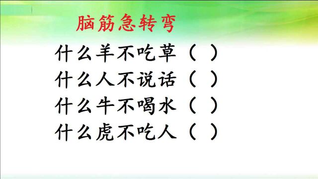 脑筋急转弯:什么羊不吃草,什么人不说话,什么虎不吃人