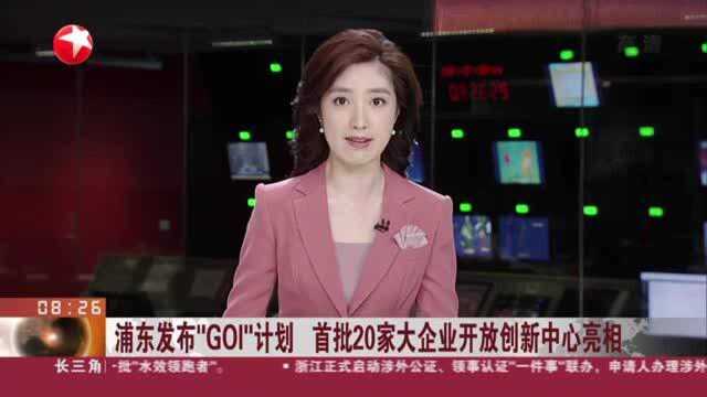 浦东发布“GOI”计划 首批20家大企业开放创新中心亮相