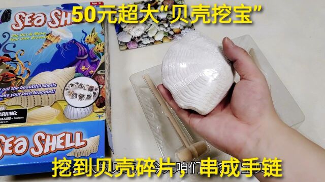 50元超大“贝壳挖宝”,挖到粉色小贝壳,串成一条小手链