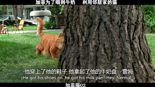 加菲猫-02，加菲为了喝到牛奶，利用邻居家的猫