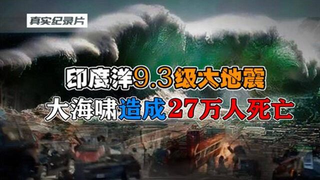 印度洋9.3级大地震,引发超级的大海啸,其威力相当于3万颗原子弹