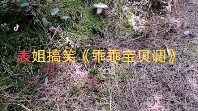 云南山歌《乖乖宝贝调》