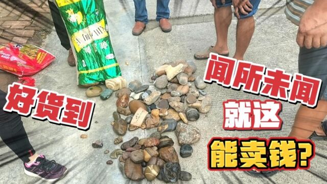 涨见识了,大叔河里捞几袋鹅卵石,市场一放,竟能卖钱?牛人