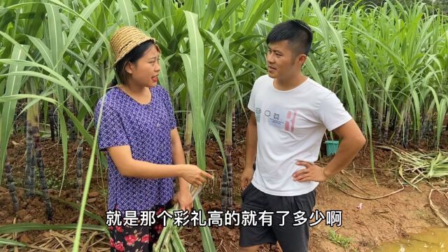 小伙找媒婆叫帮介绍对象,媒婆说成了要3万块介绍费,不成要2800