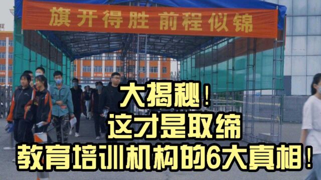 大揭秘!这才是取缔教育培训机构的6大真相,教育就应该远离资本