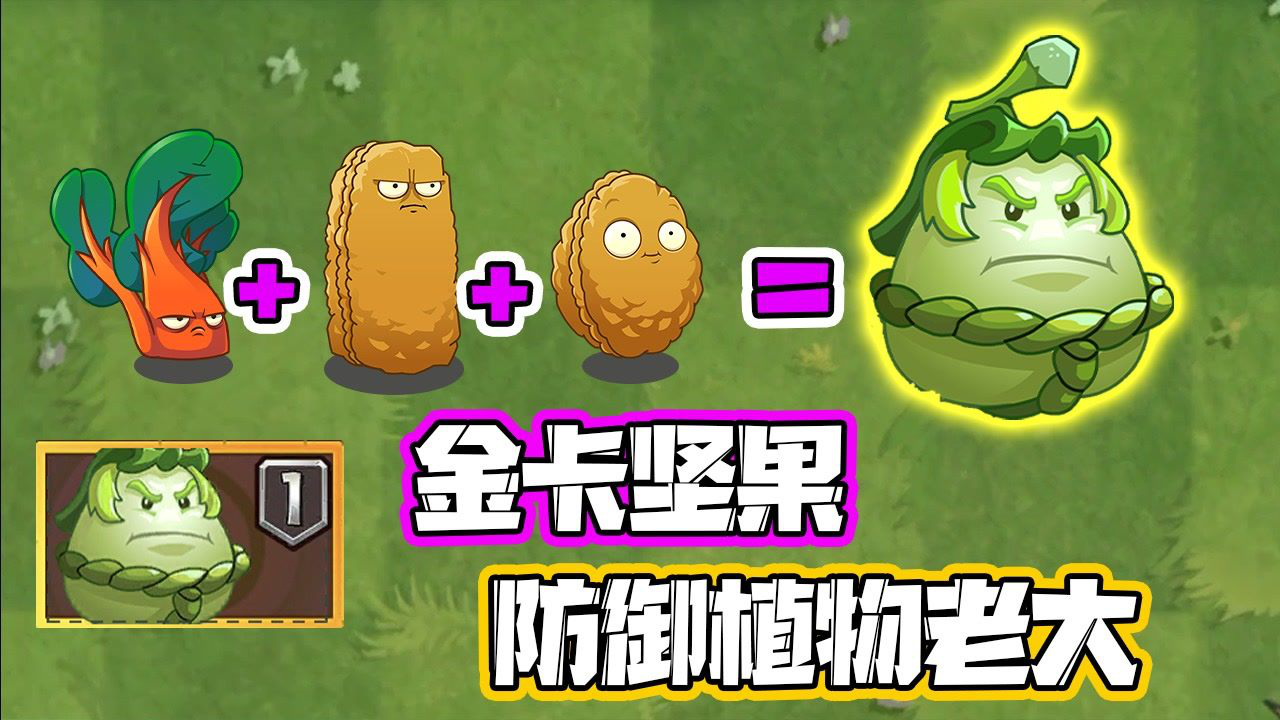 《陈贝贝植物大战僵尸》植物大战僵尸:金卡白瓜相扑手!
