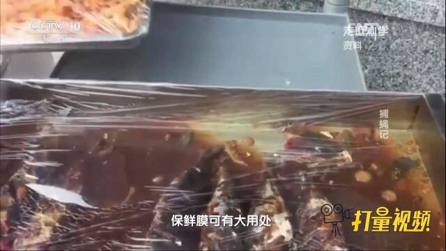 为了防止苍蝇污染食物,即食食品该如何保存?听听专家的建议