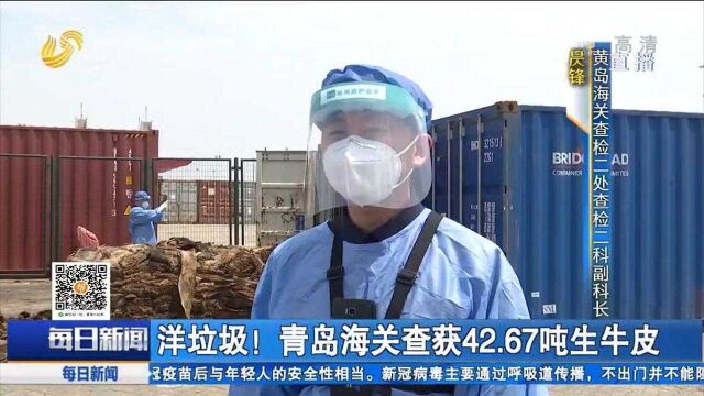 青岛海关查获42.67吨生牛皮,为我国明令禁止进口的“洋垃圾”