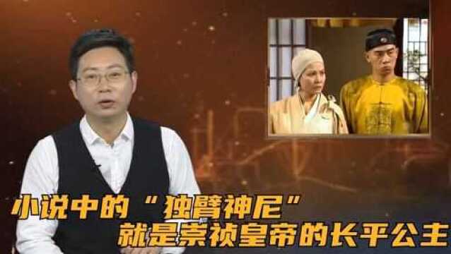 小说中的“独臂神尼”,就是崇祯皇帝的长平公主,还是小说中的“阿九”