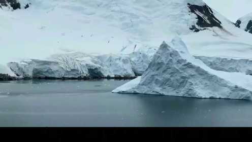 南极和北极，地下冰湖真的发现了3000万年前生物？