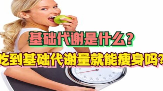 基础代谢是什么?吃到基础代谢量就能瘦身吗?