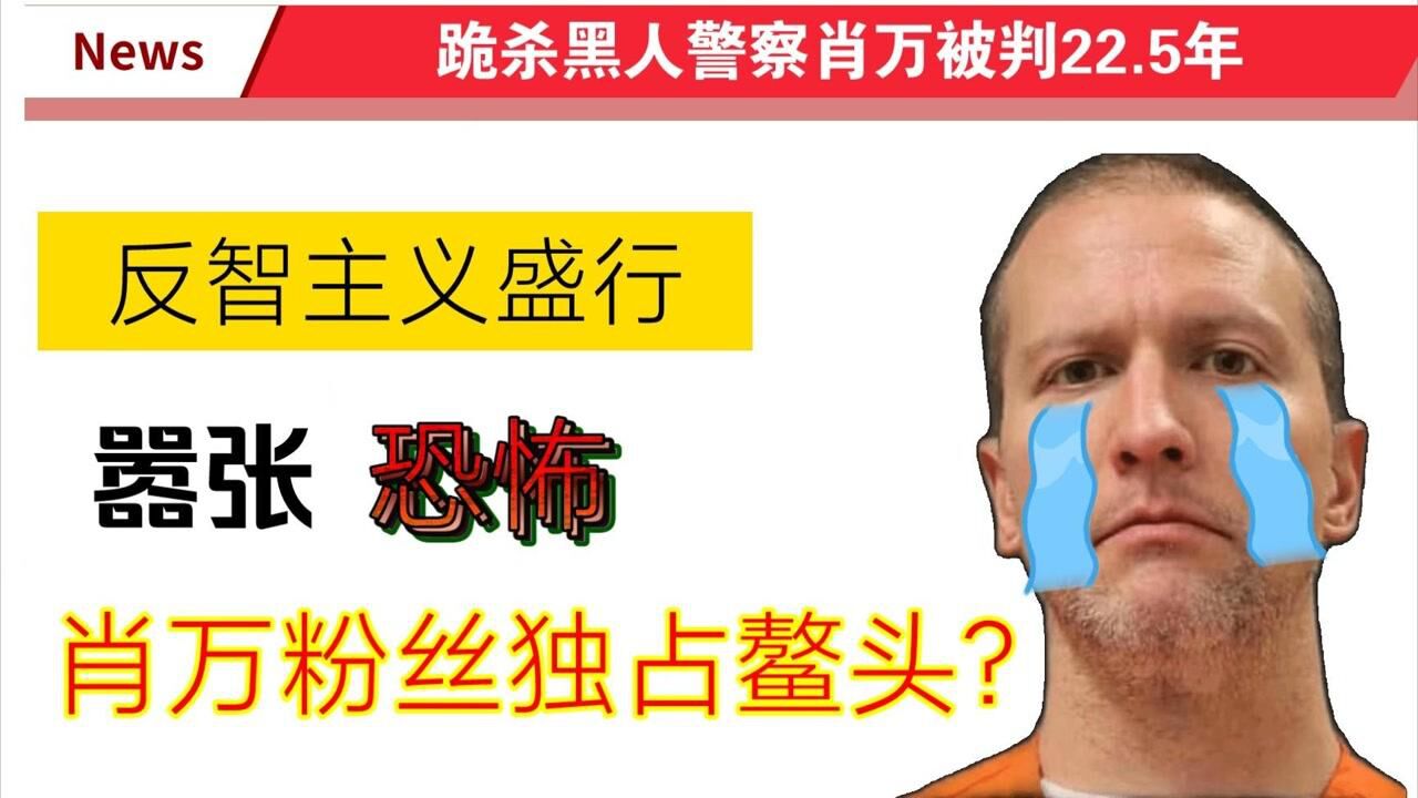 反智主义盛行肖万粉丝独占鳌头为什么歧视黑人不是爱国行为