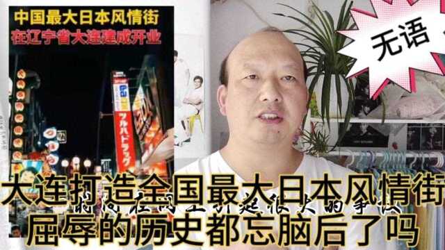 大连投资60个亿,打造日本风情街,整条街全是日资企业,我不赞同