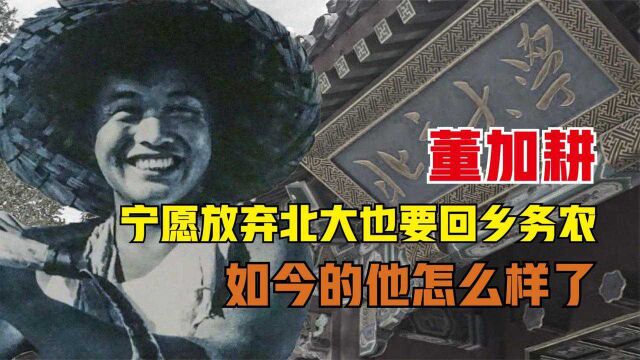 董加耕,60年代宁愿放弃北大也要回乡务农,如今的他怎么样了?