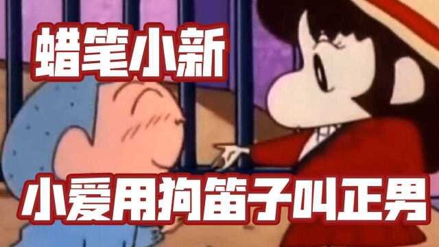 蜡笔小新:舔狗界的扛把子正男,长大后才会懂正男的卑微!好心疼啊!