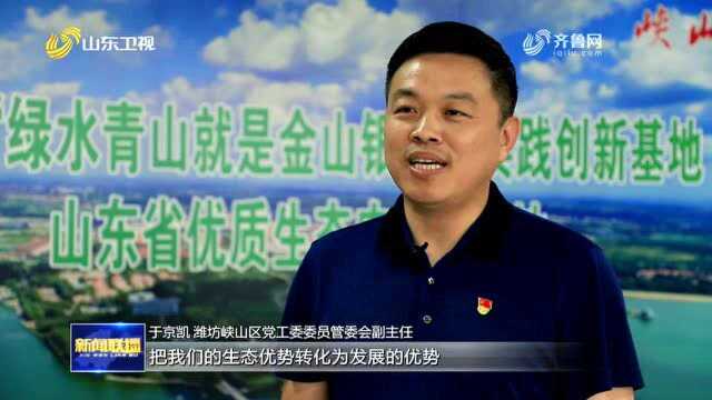 【第二轮中央生态环境保护督察在山东】潍坊峡山水库:昔日“老大难”变身生态样板