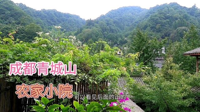 成都青城山1000平农家小院,风景如画却没一个客人,问题在哪