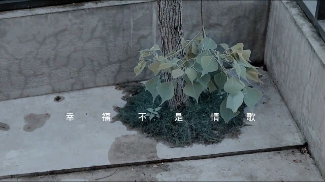 【官方MV】刘若英《幸福不是情歌》