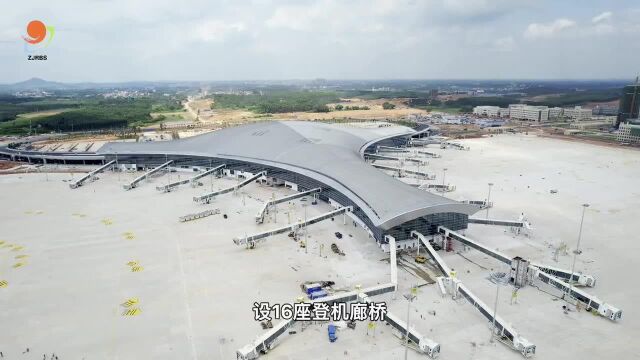 牛里牛气!湛江吴川机场里面长这样→