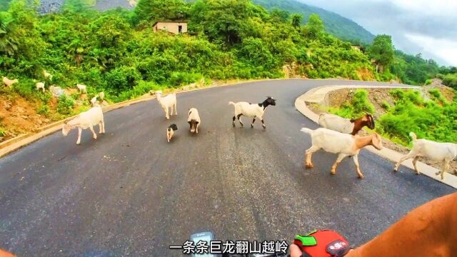 这条旅游公路风景绝美,堪称合川的天路