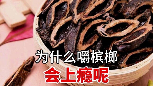 为什么嚼槟榔会上瘾?