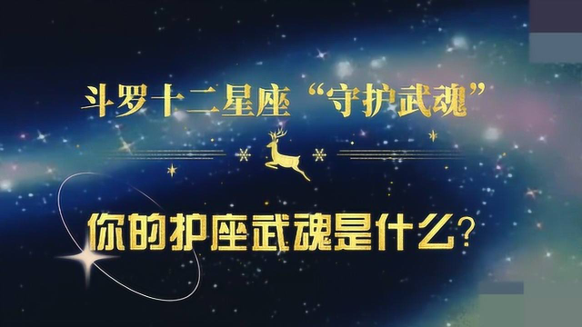 十二星座是什么武魂图片