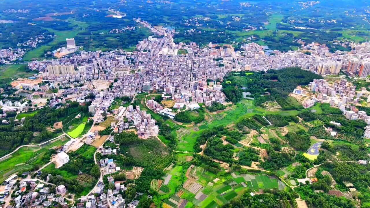 廉江市青平镇全景