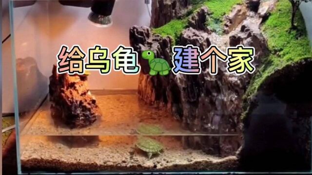 鱼缸水陆造景给乌龟建个家