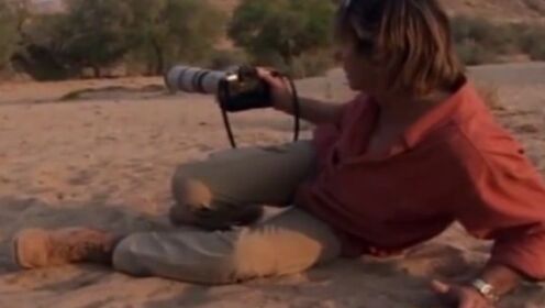 奥斯丁深入纳米比亚沙漠，拍下沙漠象群的珍贵影像！