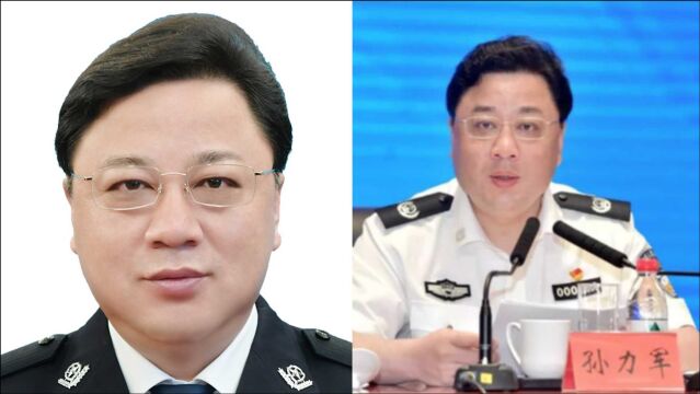 公安部原副部长孙力军被“双开” 揭秘:大肆卖官鬻爵 极度贪婪