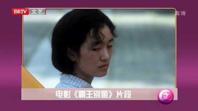 巩俐 令人难忘的四大角色之菊仙