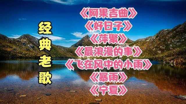 经典老歌《阿果吉曲》《好日子》《萍聚》《最浪漫的事》《暴雨》