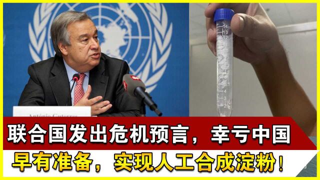 联合国发出危机预言,幸亏中国早有准备,实现人工合成淀粉!