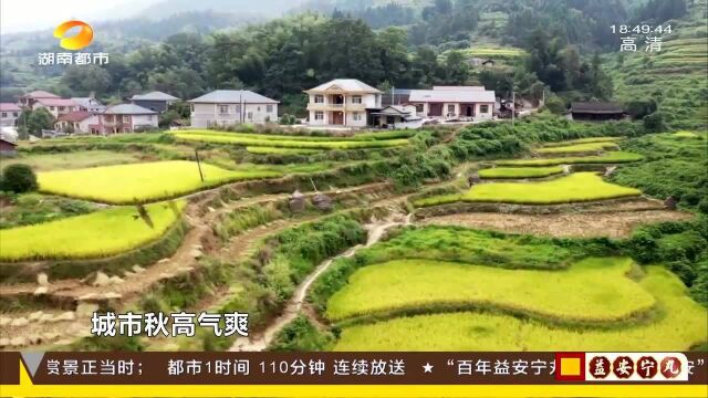 秋天中的“秋天”!寒露到 最好的季节适宜登山远足观美景!