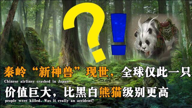 秦岭意外发现“新神兽”,全球仅一只,比黑白大熊猫级别还高?